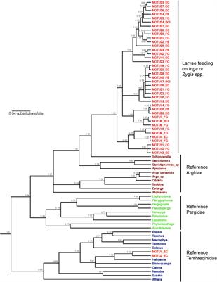 Tracking of Host Defenses and Phylogeny During the Radiation of Neotropical Inga-Feeding Sawflies (Hymenoptera; Argidae)